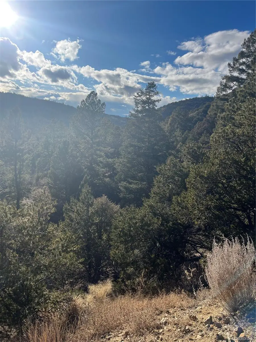 Forbes Rd, Fort Garland, CO 81133 - #3