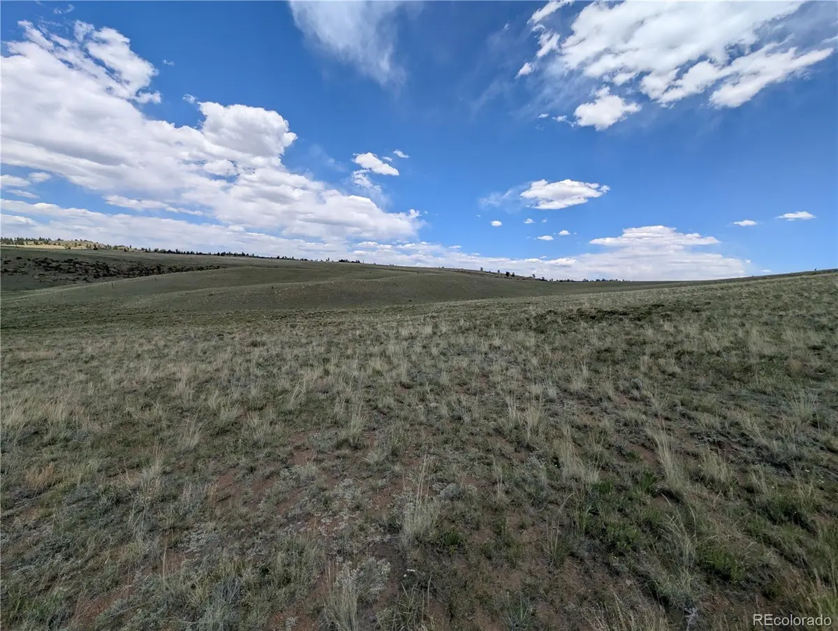 3812 Anadarko Road, Hartsel, CO 80449 - #1