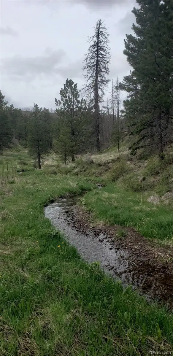 3682 Powers Road, Fort Garland, CO 81133 - Image #2