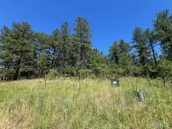 773 Copper Fox Place, Larkspur, CO 80118