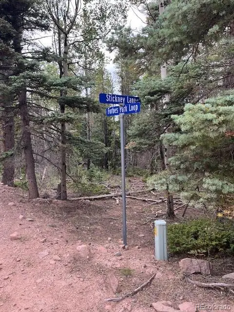 Stickney Lane, Lot 3126, Fort Garland, CO 81133