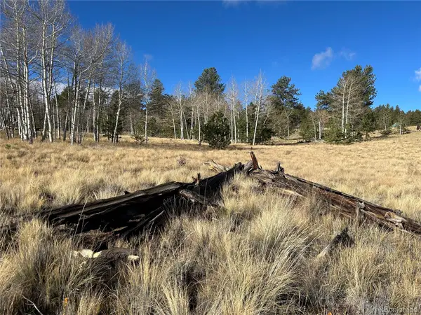 203 Doubletree, Hartsel, CO 80449