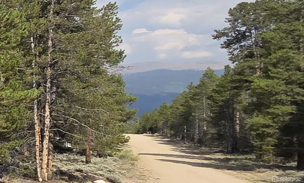 455 Spruce Drive, Leadville, CO 80461 - #1