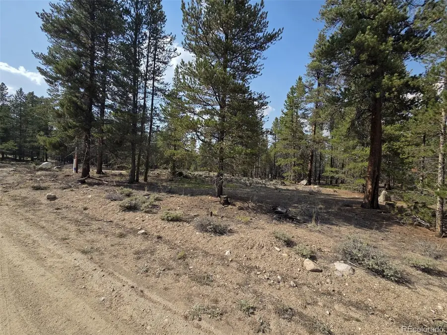 455 Spruce Drive, Leadville, CO 80461 - #2