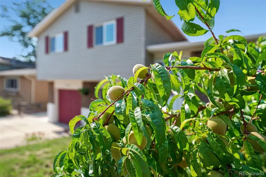 6450 W 108th Place, Broomfield, CO 80020 - #2