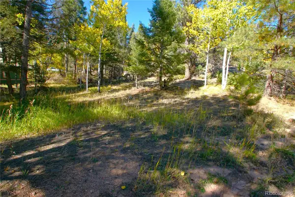 30589 Hood Road, Conifer, CO 80433