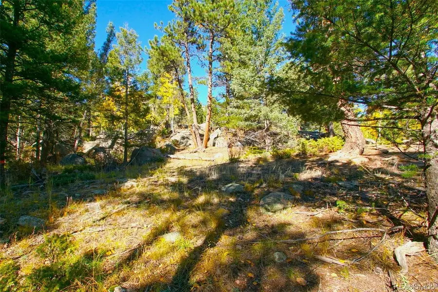 30589 Hood Road, Conifer, CO 80433 - Image #2