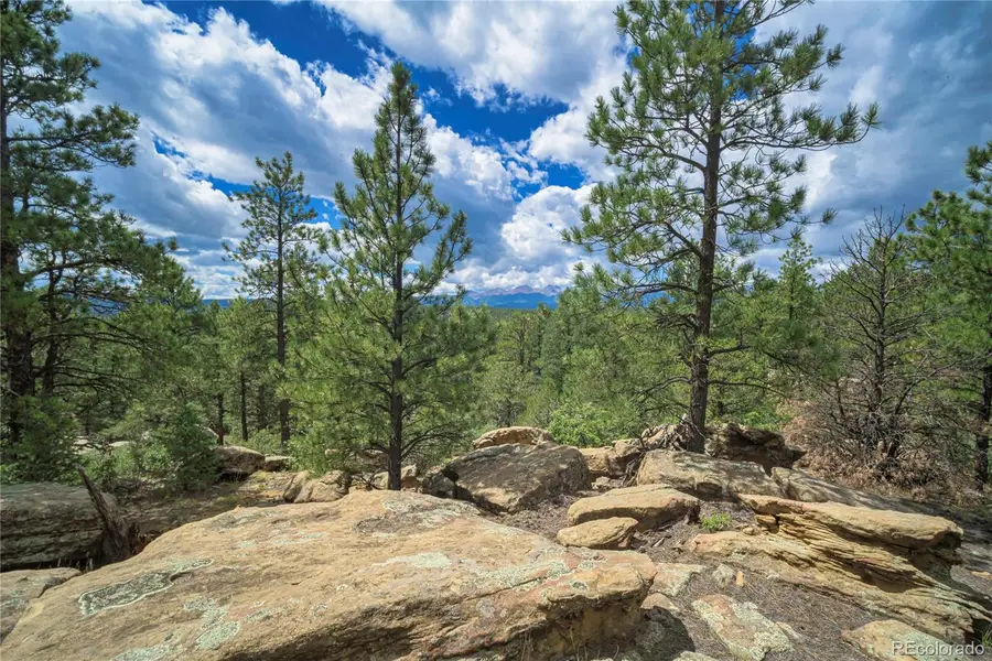 Rancho Escondido Lot 15, Weston, CO 81091 - Image #3