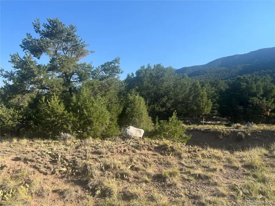 4292 Fallen Tree, Crestone, CO 81131 - #2