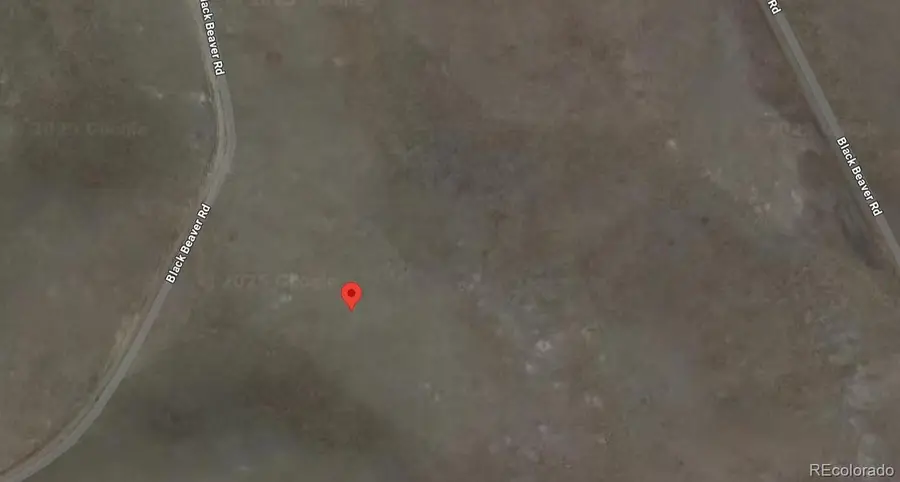 150 Black Beaver Circle, Hartsel, CO 80449 - Image #2