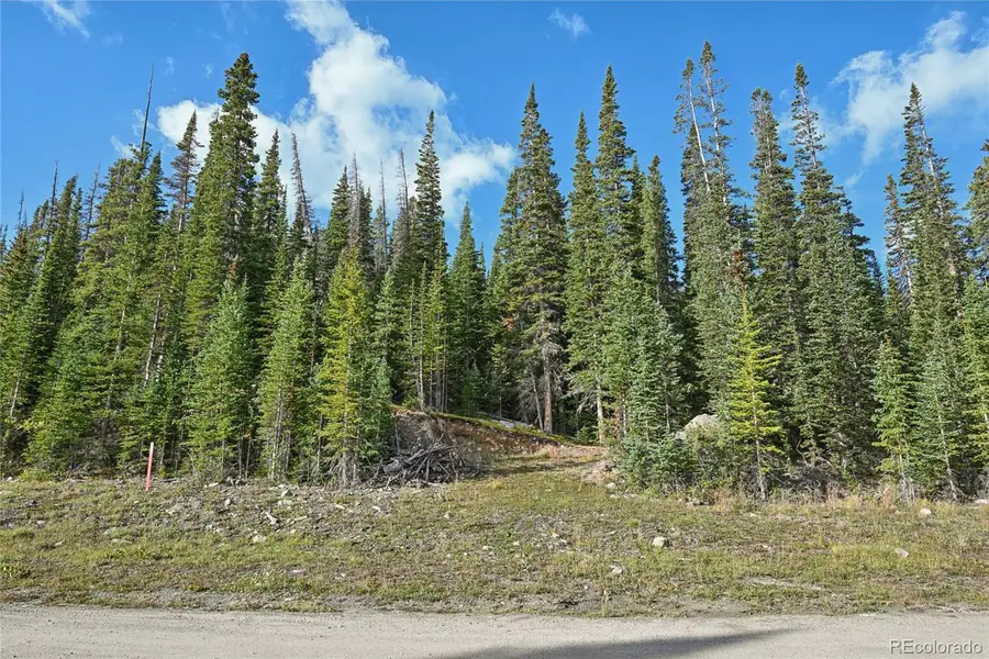 159 Hamilton Lane, Breckenridge, CO 80424 - Image #3