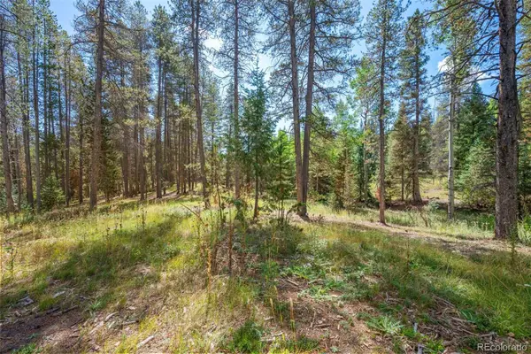 001 Lot 12 Indian Springs Rd, Conifer, CO 80433
