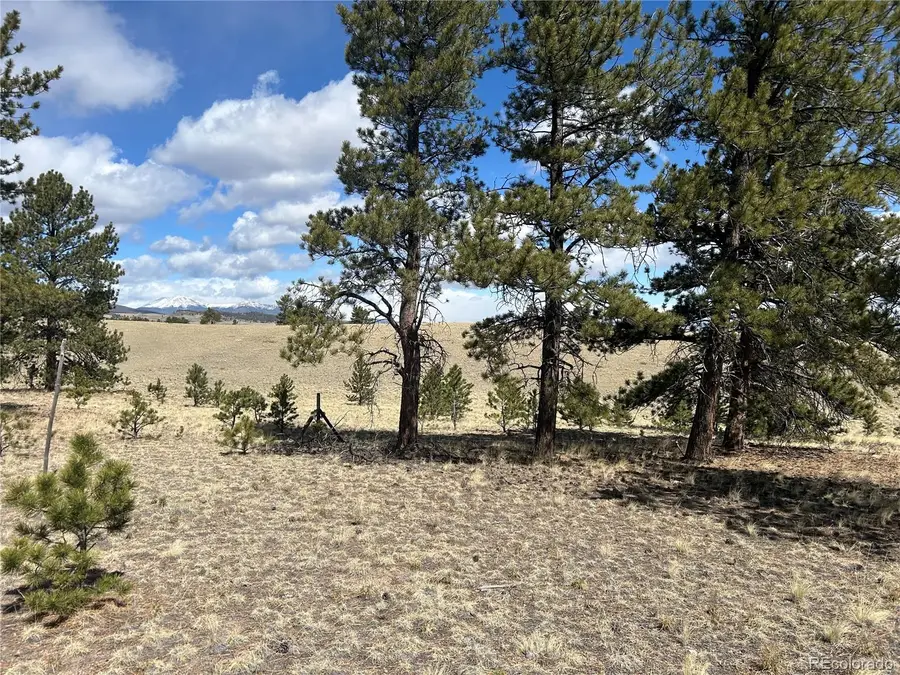 517 Brahma Circle, Hartsel, CO 80449 - #2