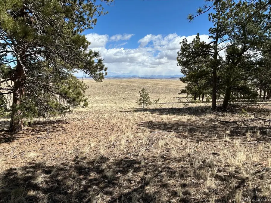 517 Brahma Circle, Hartsel, CO 80449 - #3