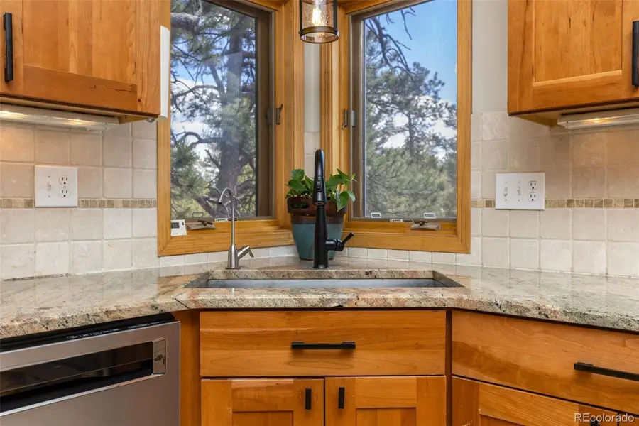 23971 Mormon Drive, Conifer, CO 80433 - #2