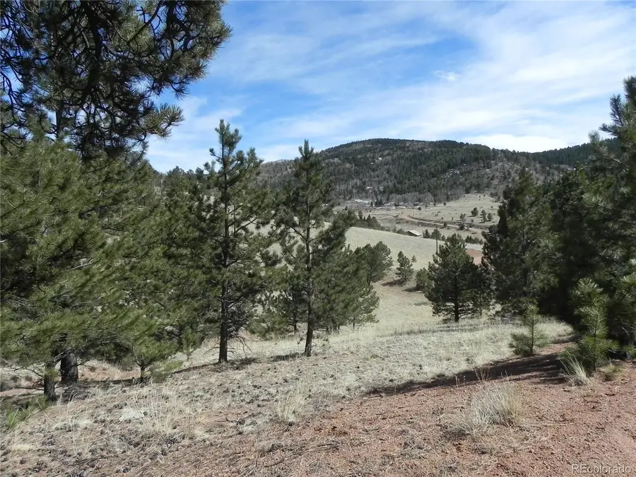 1087 Monarch Drive, Cripple Creek, CO 80813 - #2