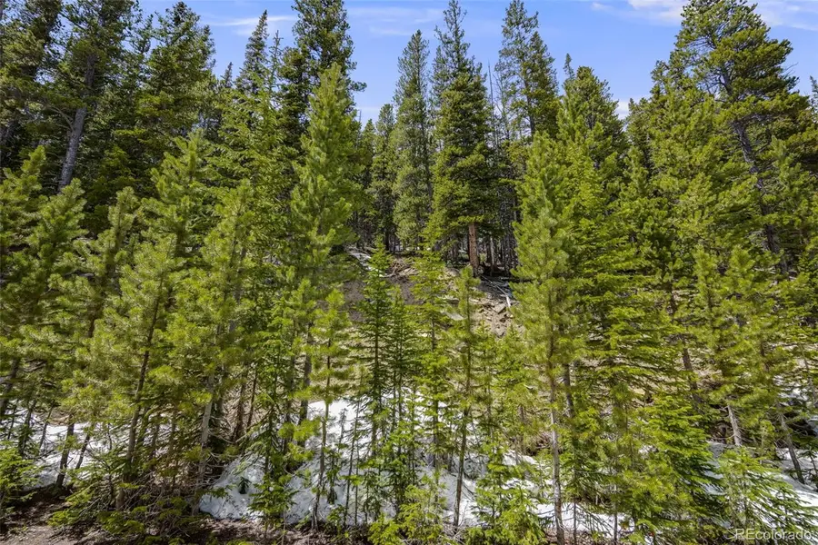 1 Nebraska Circle, Idaho Springs, CO 80452 - #2