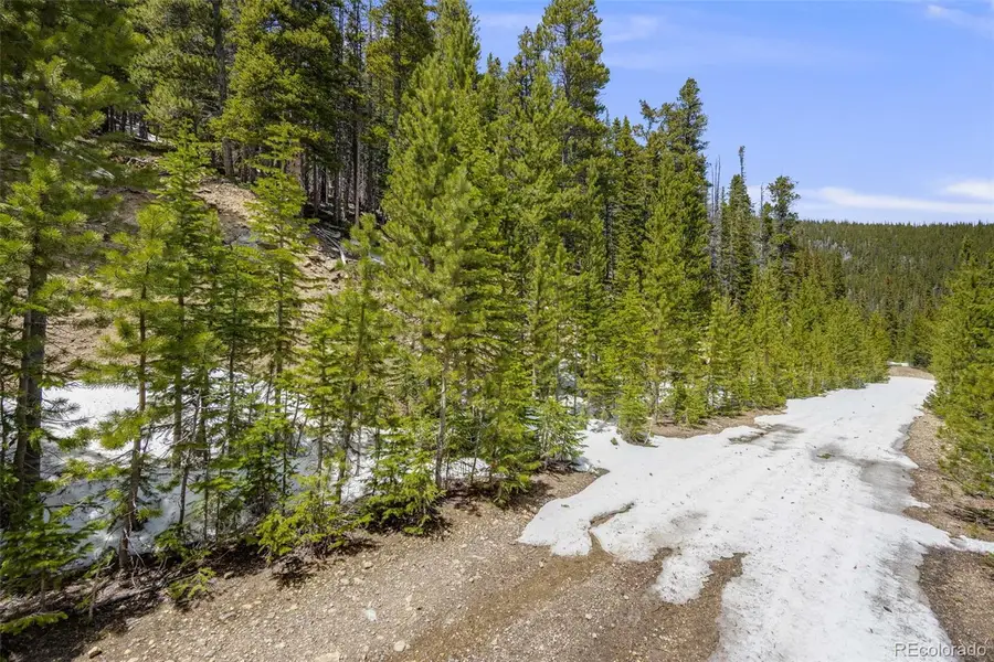 1 Nebraska Circle, Idaho Springs, CO 80452 - #3