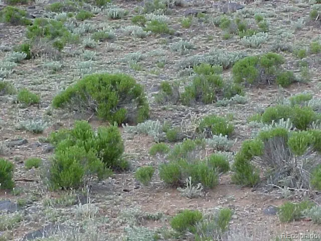 14TH Shoshone, Fort Garland, CO 81133 - #3