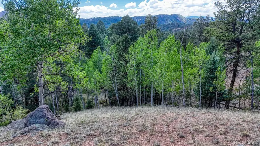 783 Bennett Drive, Cripple Creek, CO 80813 - #2