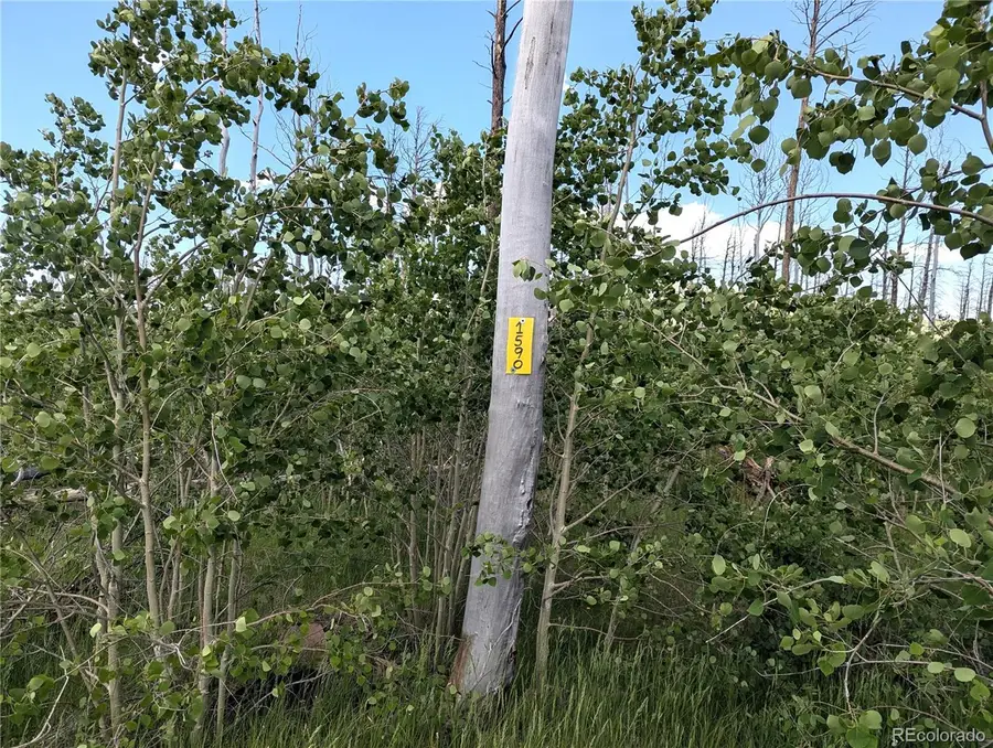 1590 Douglas Lane, Fort Garland, CO 81133 - Image #2