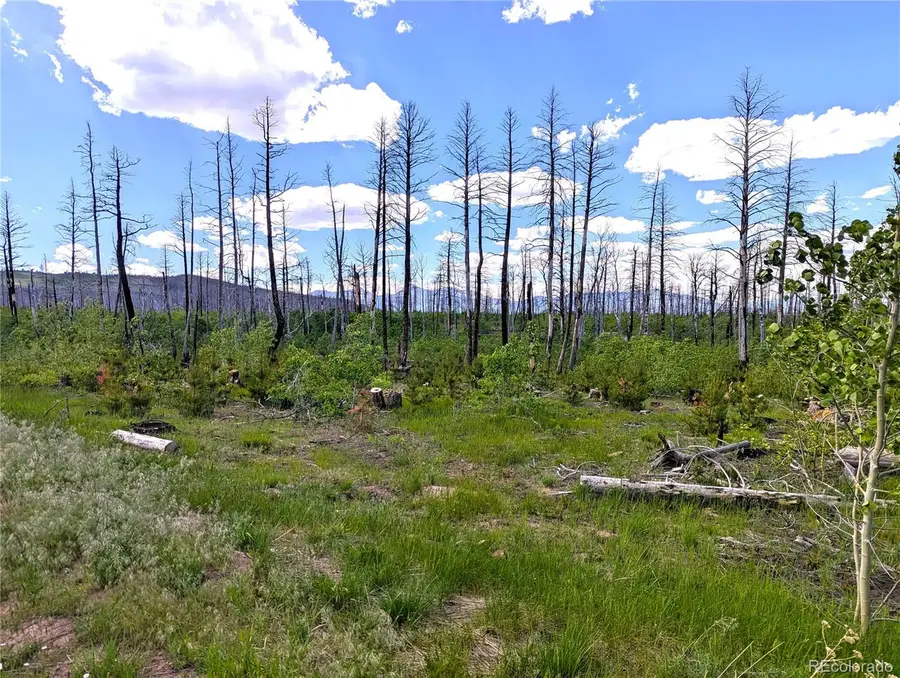 1590 Douglas Lane, Fort Garland, CO 81133 - Image #3