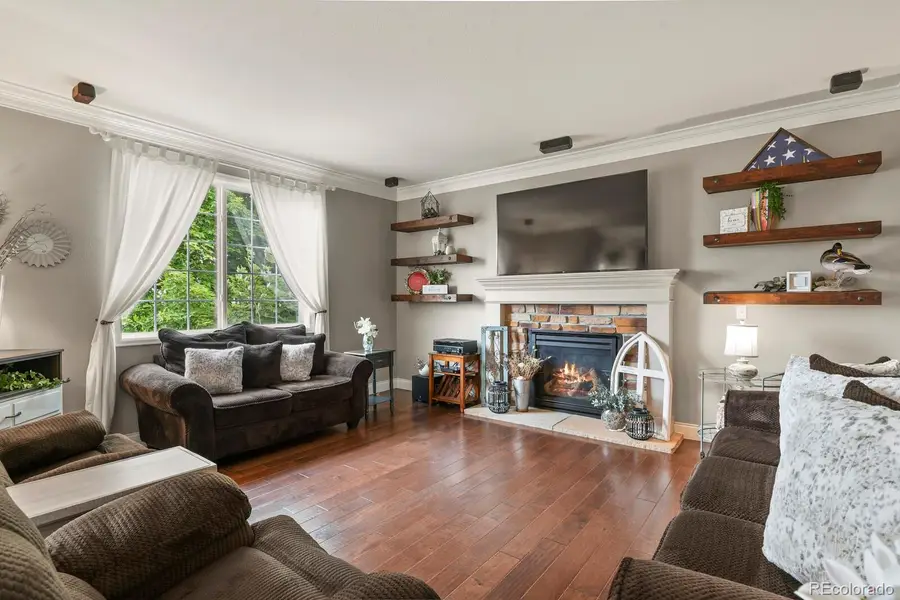 12152 Coral Burst Lane, Parker, CO 80134 - #2