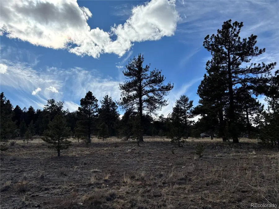 823 Windmill Drive, Hartsel, CO 80449 - #3