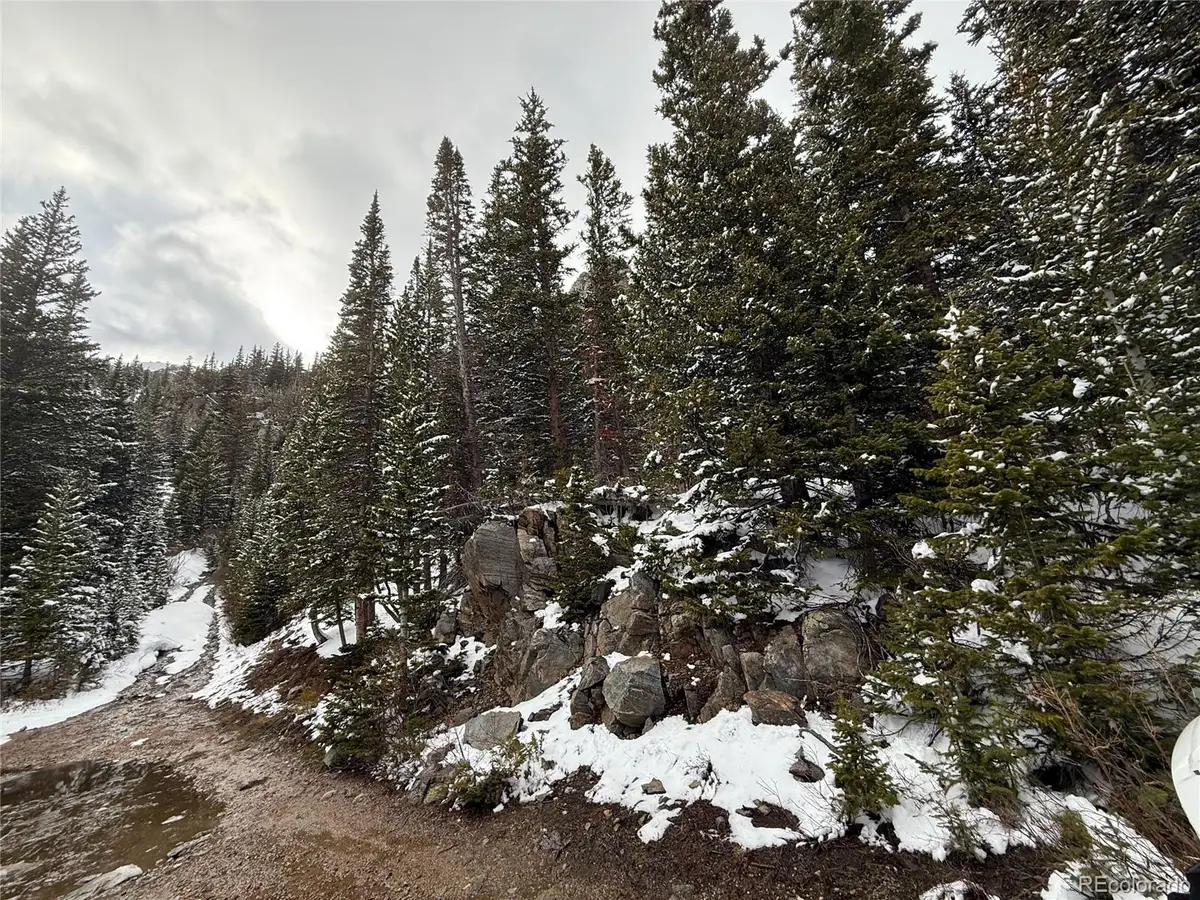 14 Mine Road, Idaho Springs, CO 80452 - #1