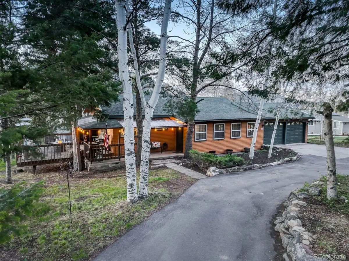 25807 Snyder Avenue, Conifer, CO 80433 - #1