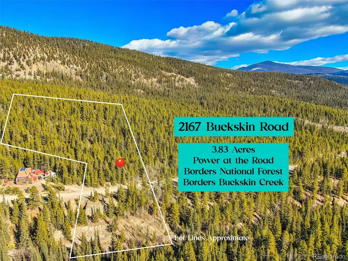 2167 Buckskin Road, Alma, CO 80420 - Image #1