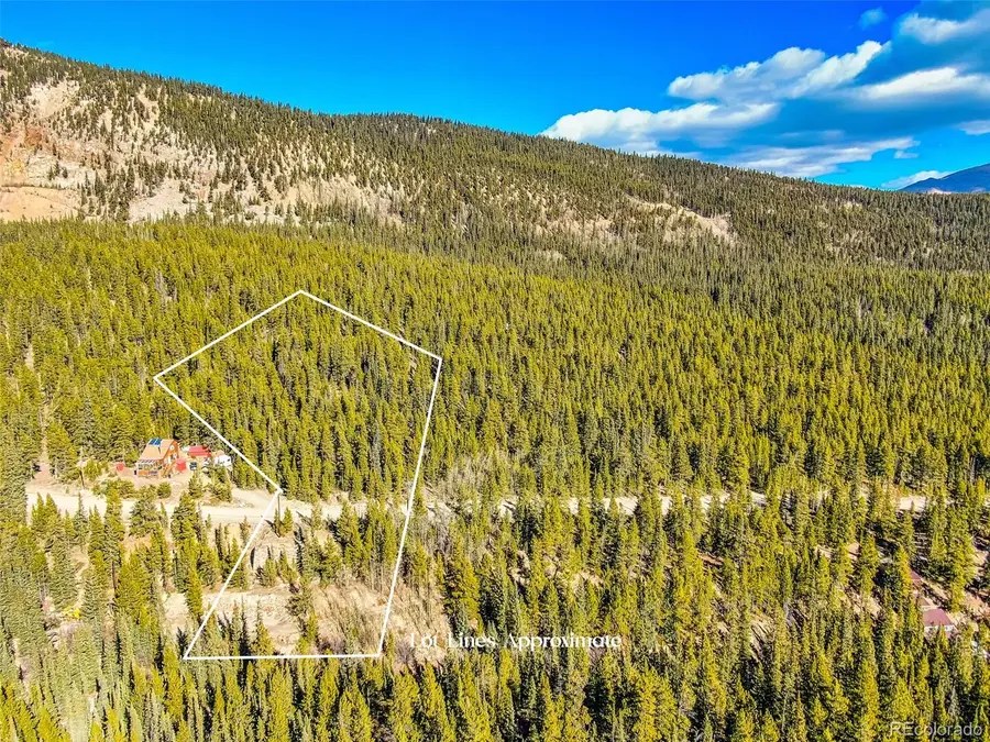 2167 Buckskin Road, Alma, CO 80420 - Image #3