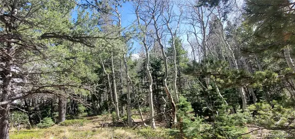 Lot 2560 Grojean Drive, Fort Garland, CO 81133