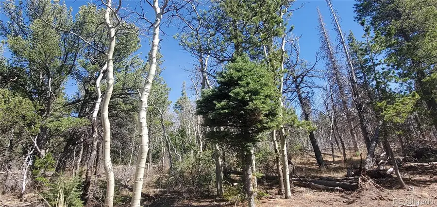Lot 2560 Grojean Drive, Fort Garland, CO 81133 - #2