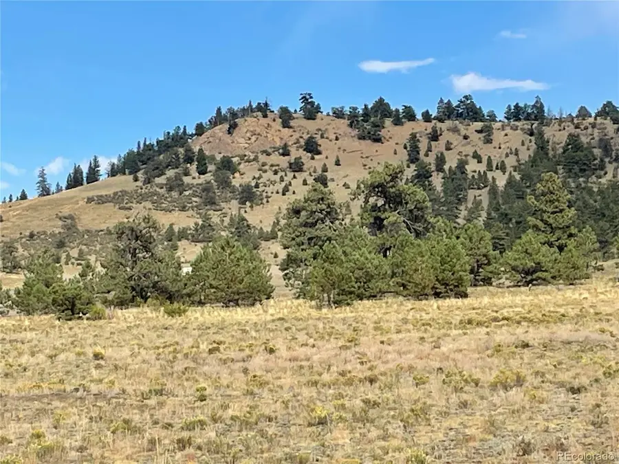 14171 Chickasaw Road, Hartsel, CO 80449 - #3