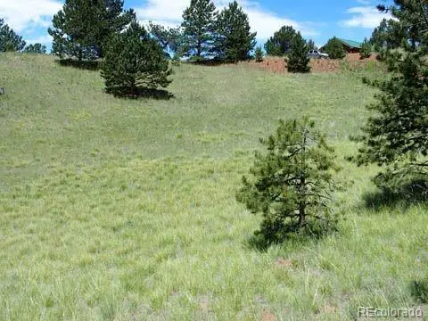172 Cortez Pl, Cripple Creek, CO 80813 - Image #2