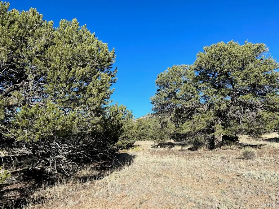 103 Indian Hill Road, Mosca, CO 81146 - Image #2