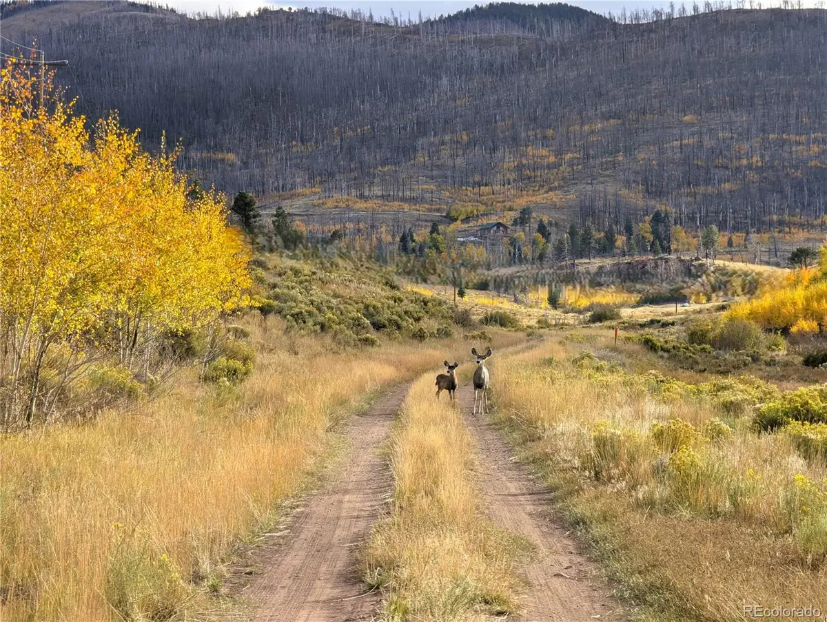 1129 Laker Lane, Fort Garland, CO 81133 - Image #1