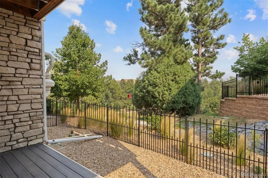 5850 Still Meadow Place, Castle Rock, CO 80104 - #3