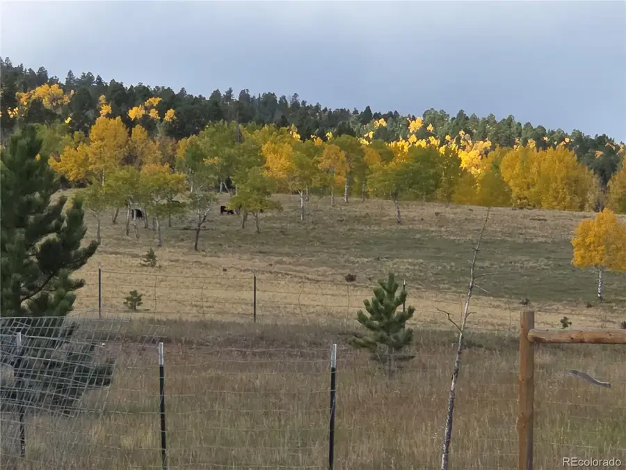 1186 Will Scarlet Drive, Divide, CO 80814 - Image #2