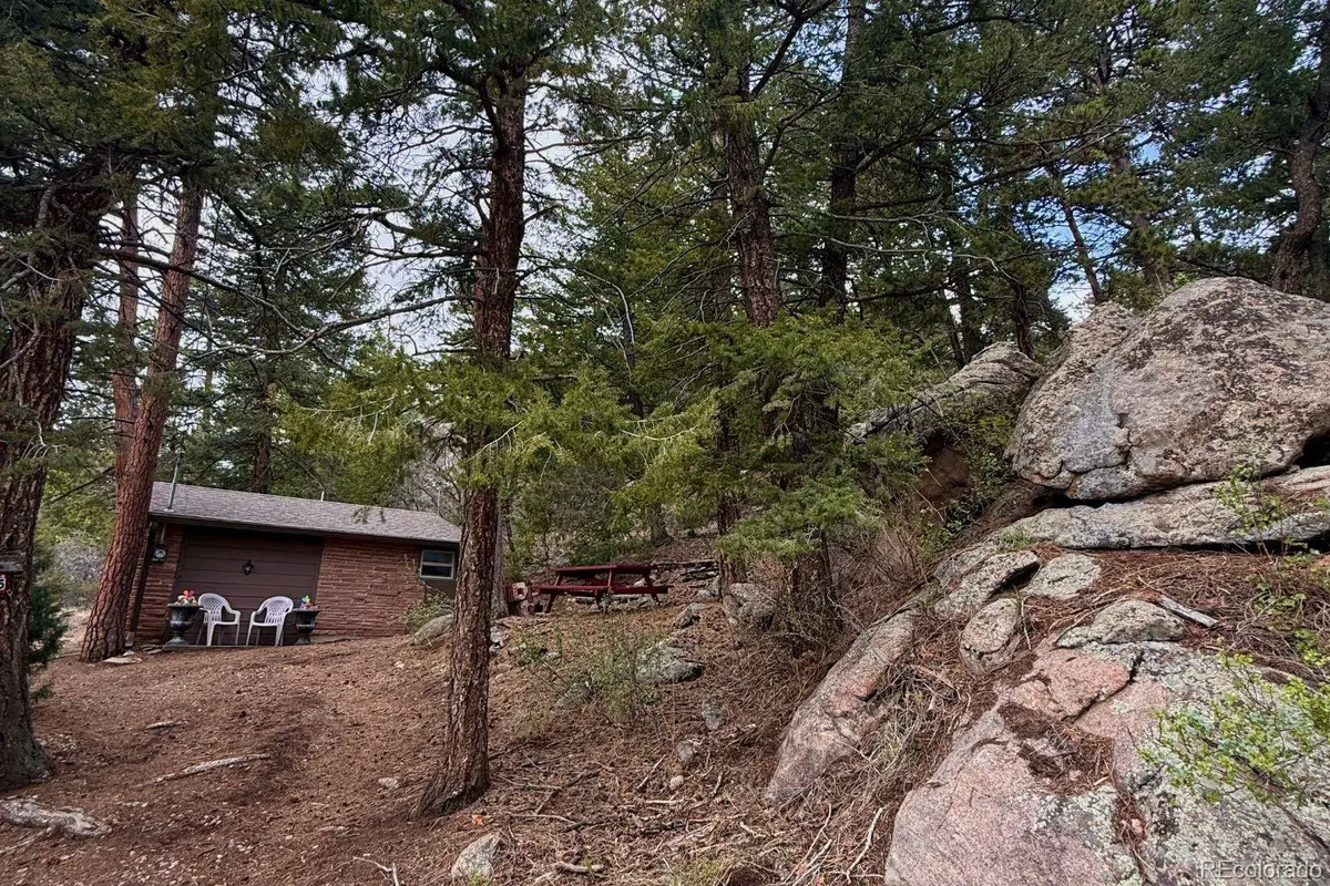25845 Wilkerson Road, Conifer, CO 80433 - #1