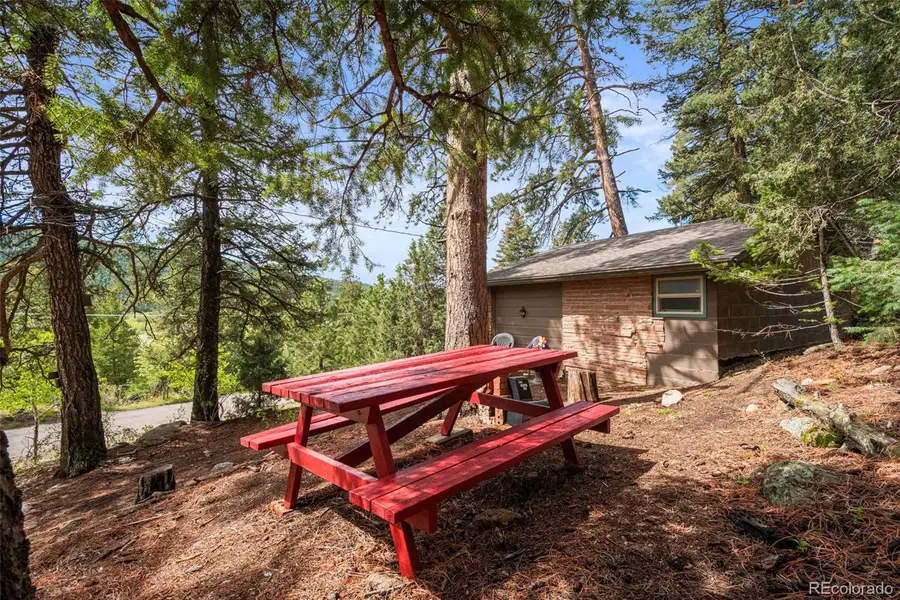 25845 Wilkerson Road, Conifer, CO 80433 - #3