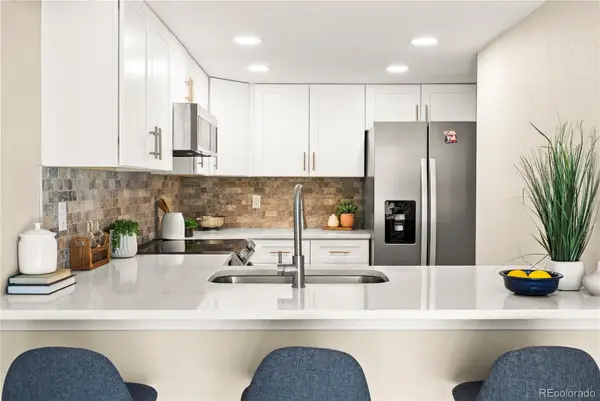 206 S Holman Way, Golden, CO 80401