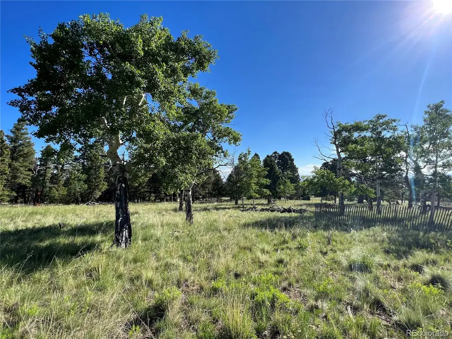 9430 Ranch Road Road, Hartsel, CO 80449 - #2