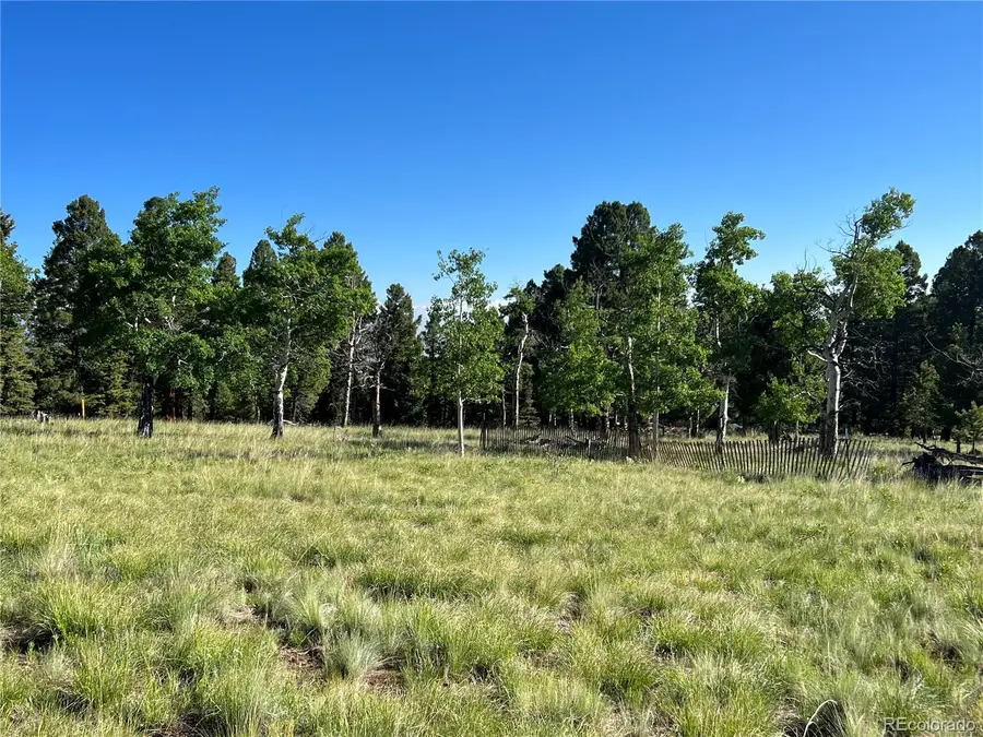 9430 Ranch Road Road, Hartsel, CO 80449 - #3