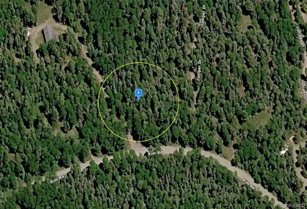423 Rim Road, Cimarron, CO 81220