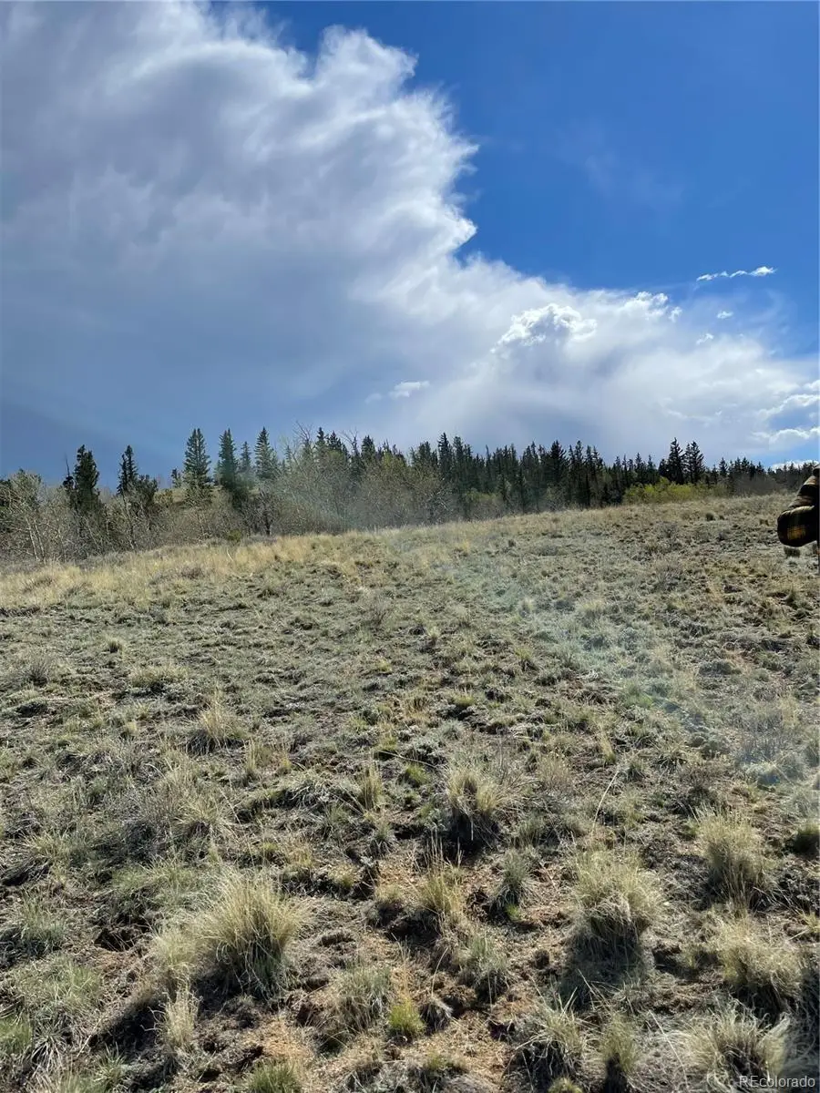 252 Albino Road, Jefferson, CO 80456 - #2