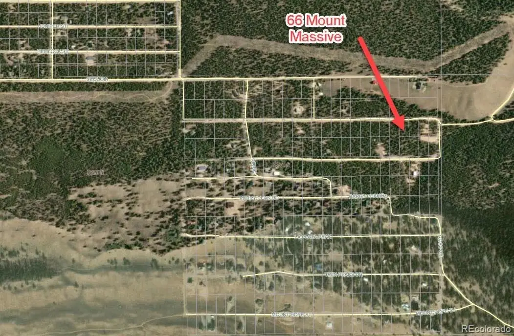66 Mount Massive Road, Twin Lakes, CO 81251 - #1