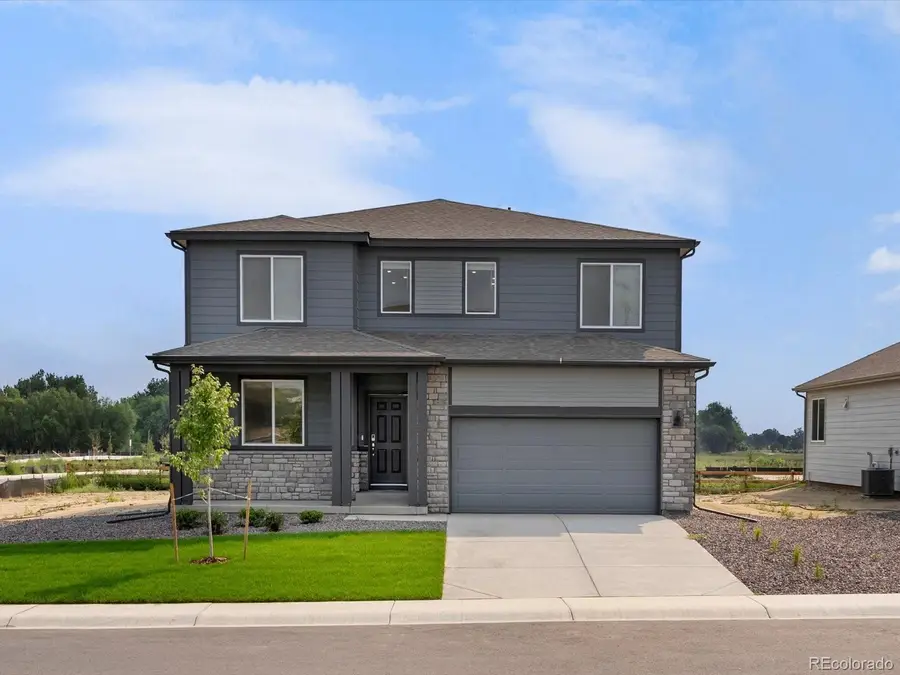 1593 Colorado River Drive, Windsor, CO 80550 - #2