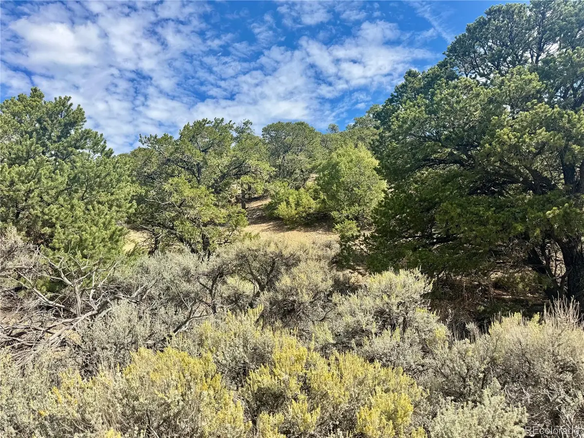 Lot 1374 Carter, Fort Garland, CO 81133 - #1